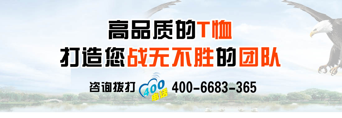 t恤衫6116-17(圖14)